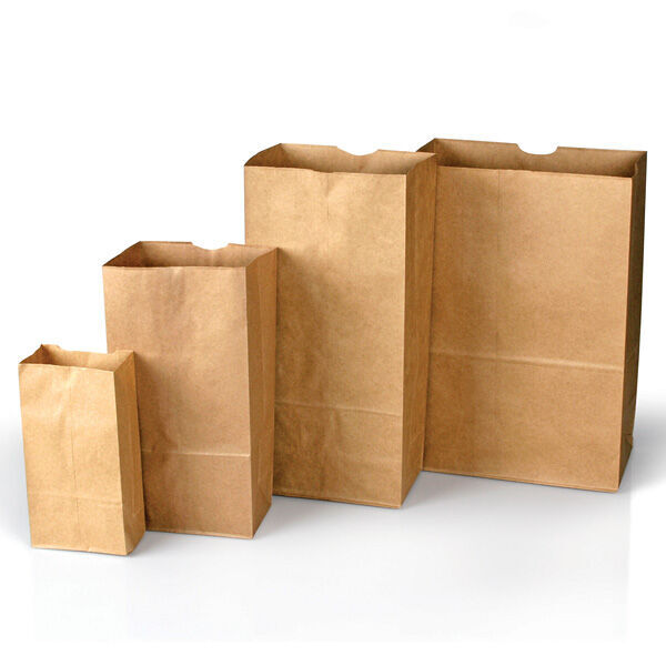 Plain Paper Bags