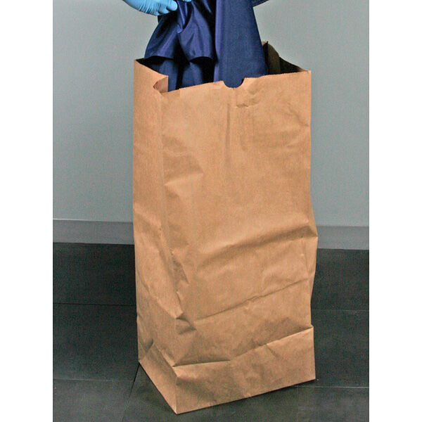 Extra-Large Paper Bags, Pack of 50 - Forensics Source
