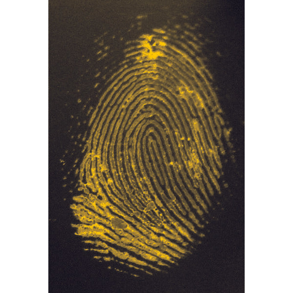 LIGHTNING POWDER® 1,2 Indanedione Fingerprint Powder