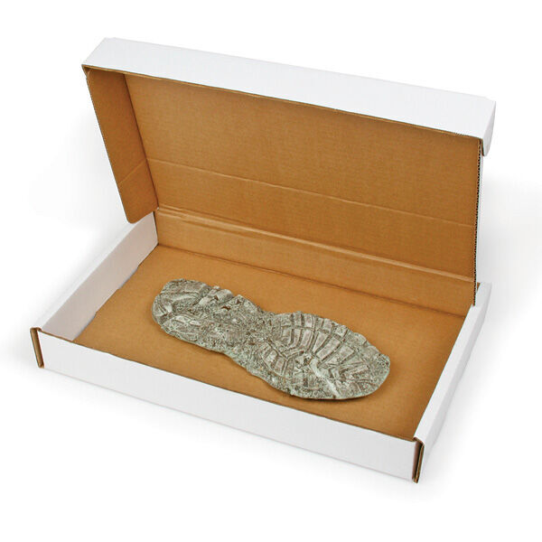 Footprint/Dustprint Evidence Boxes